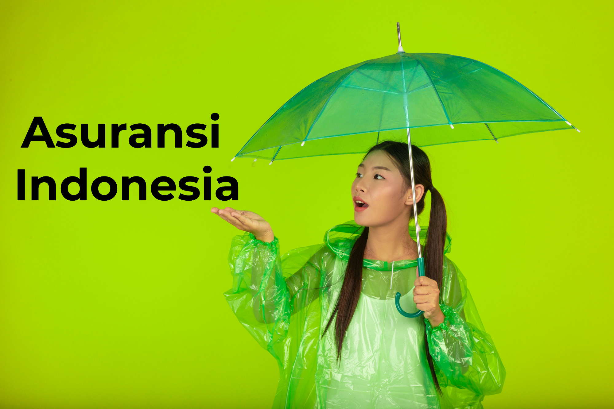 Asuransi Indonesia
